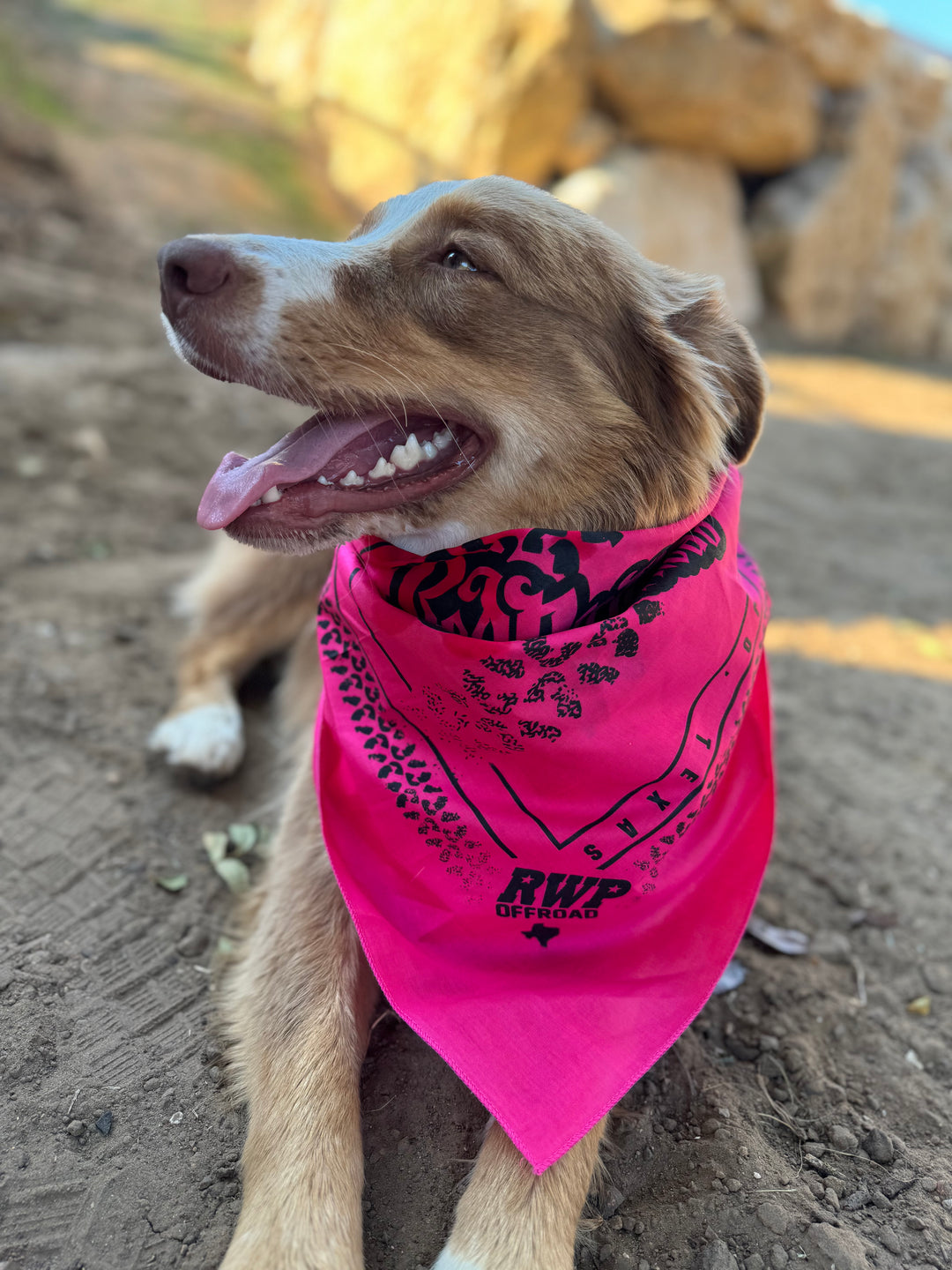 ACCESSORIES – RWP Merchandise